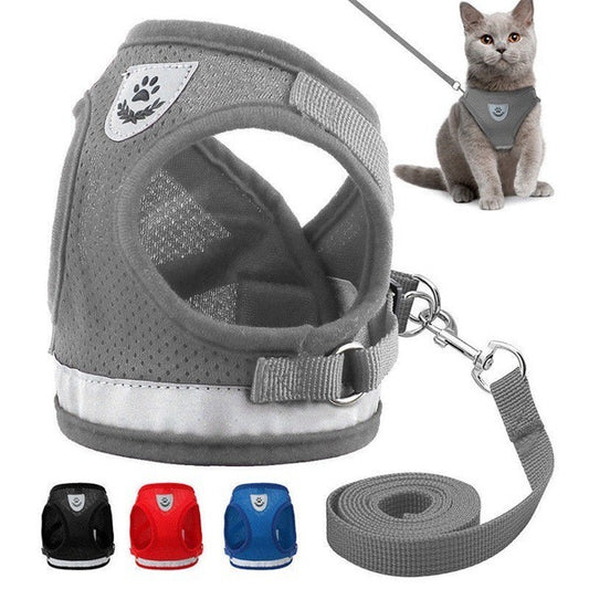 Breathable Mesh Pet Harness with Leash – Comfortable & Secure