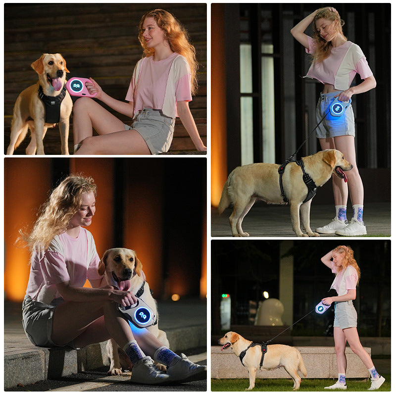 LED Light Retractable Dog Leash – Stylish, Safe & Convenient 🐾💡